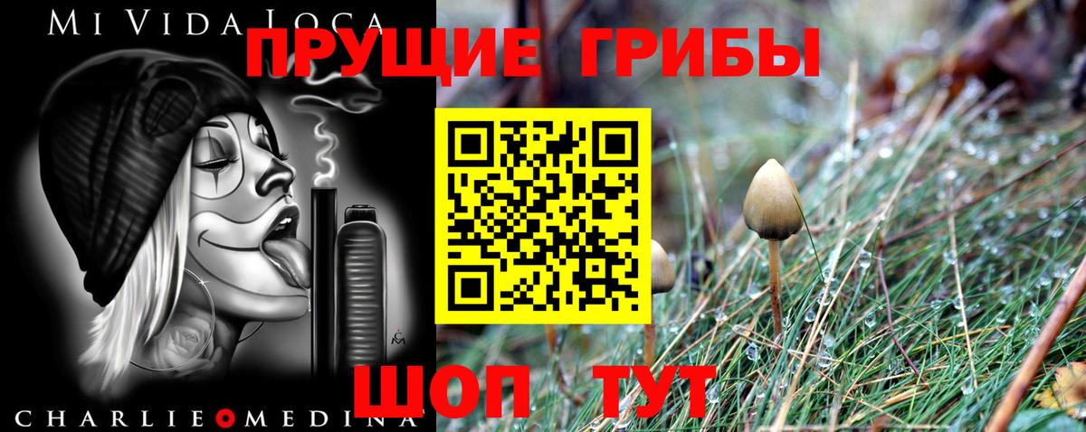 Галлюциногенные грибы мухоморы Карпинск